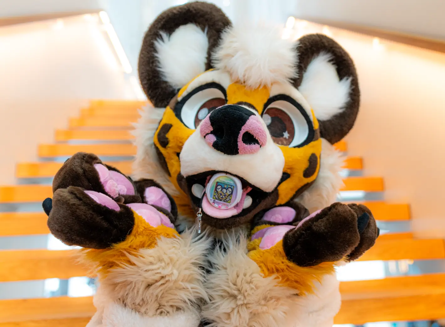E-Pet 1